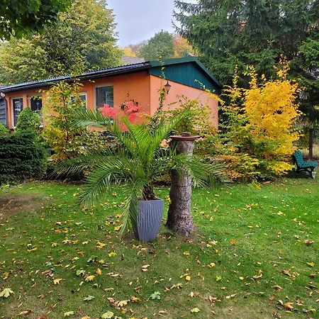 Petra * Elbingerode (Saxony-Anhalt)