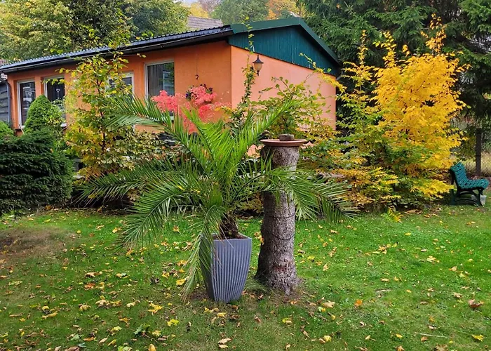 Petra * إلبينغيرود